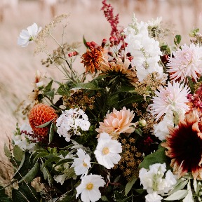 Our Ethical Prairie Shoot